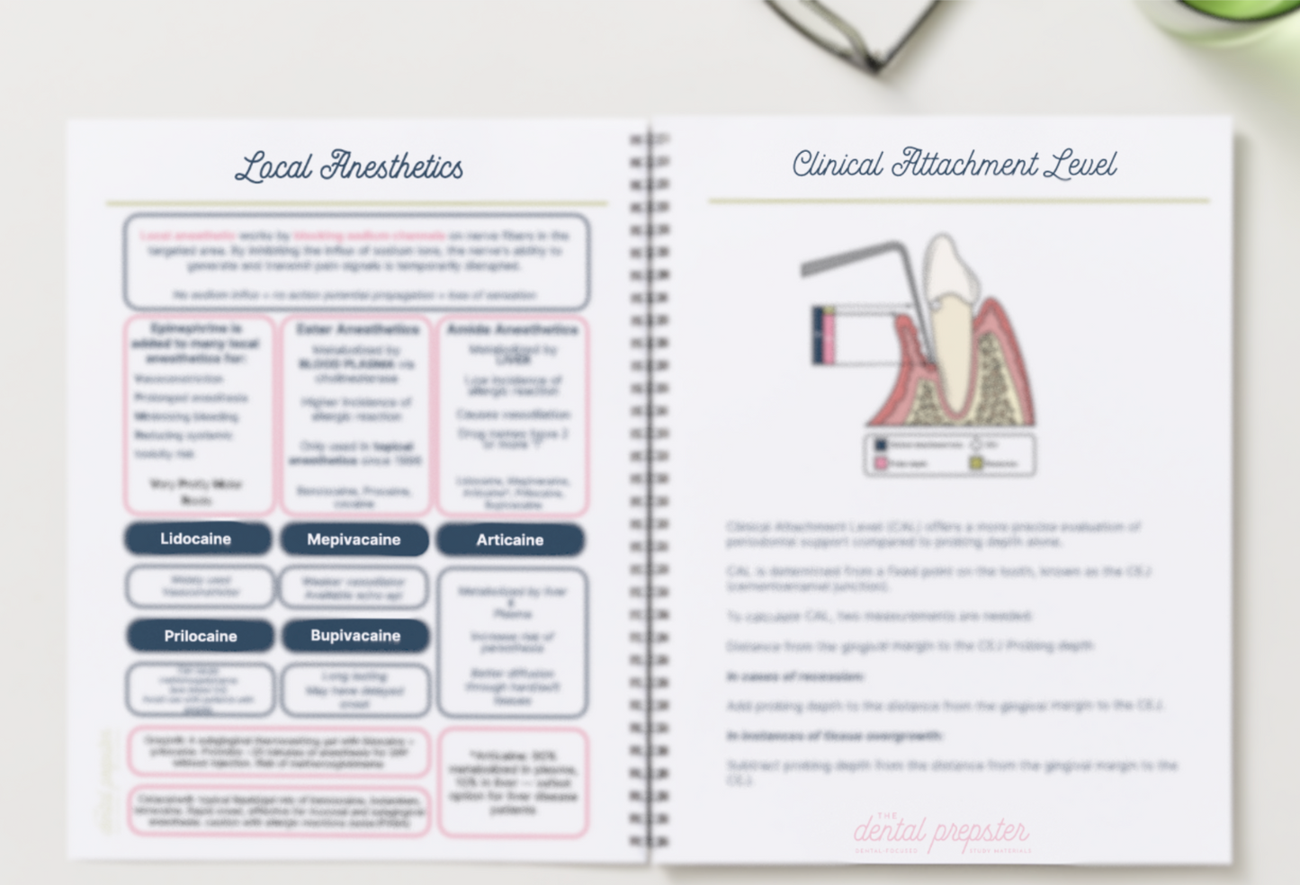 Dental Prepster Academic Planner